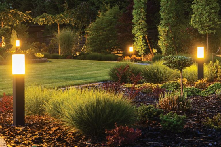 Illuminate and Elevate