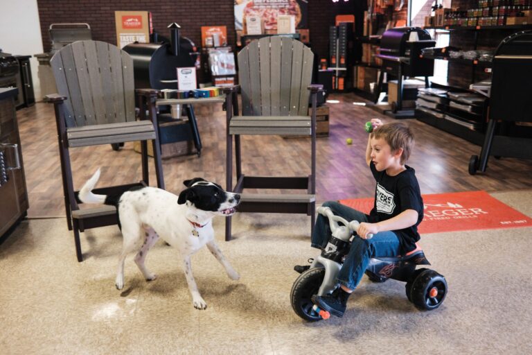 For the Kids and Pets